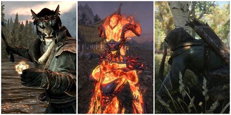 Best Skyrim Mage Builds .